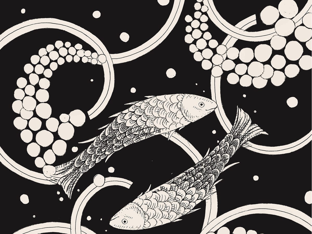 Is the Elle Pisces Horoscope Weekly True？ (Real Readers Share What Happened to Them)