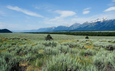 How to interpret Three of Pentacles Rider Waite？ Tips from experts!