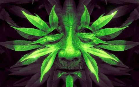 What will happen to pisces in may 2025 Read the horoscope!