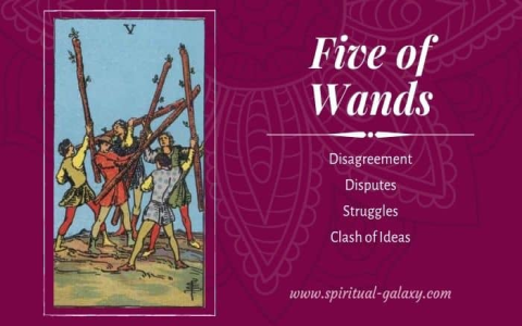 What kind of person is 5 of wands？ Uncover the characteristics here!