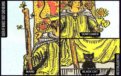 What to expect during the Queen of Wands time？ Find out now!