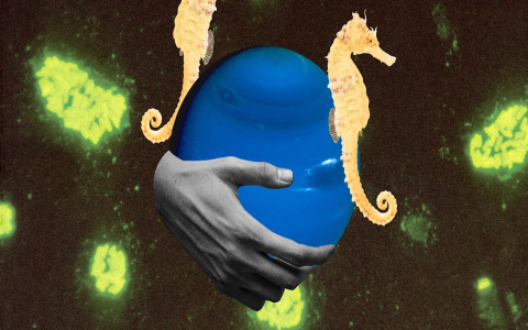 Do you know the key pisces man personality traits and characteristics？ Check here!