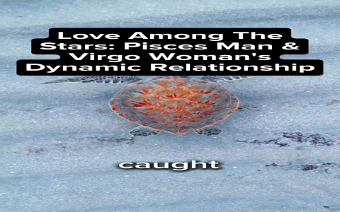 Virgo woman Pisces man love at first sight - is it really possible？