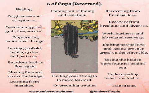 What affects the knight of cups love outcome？ 5 factors explained!