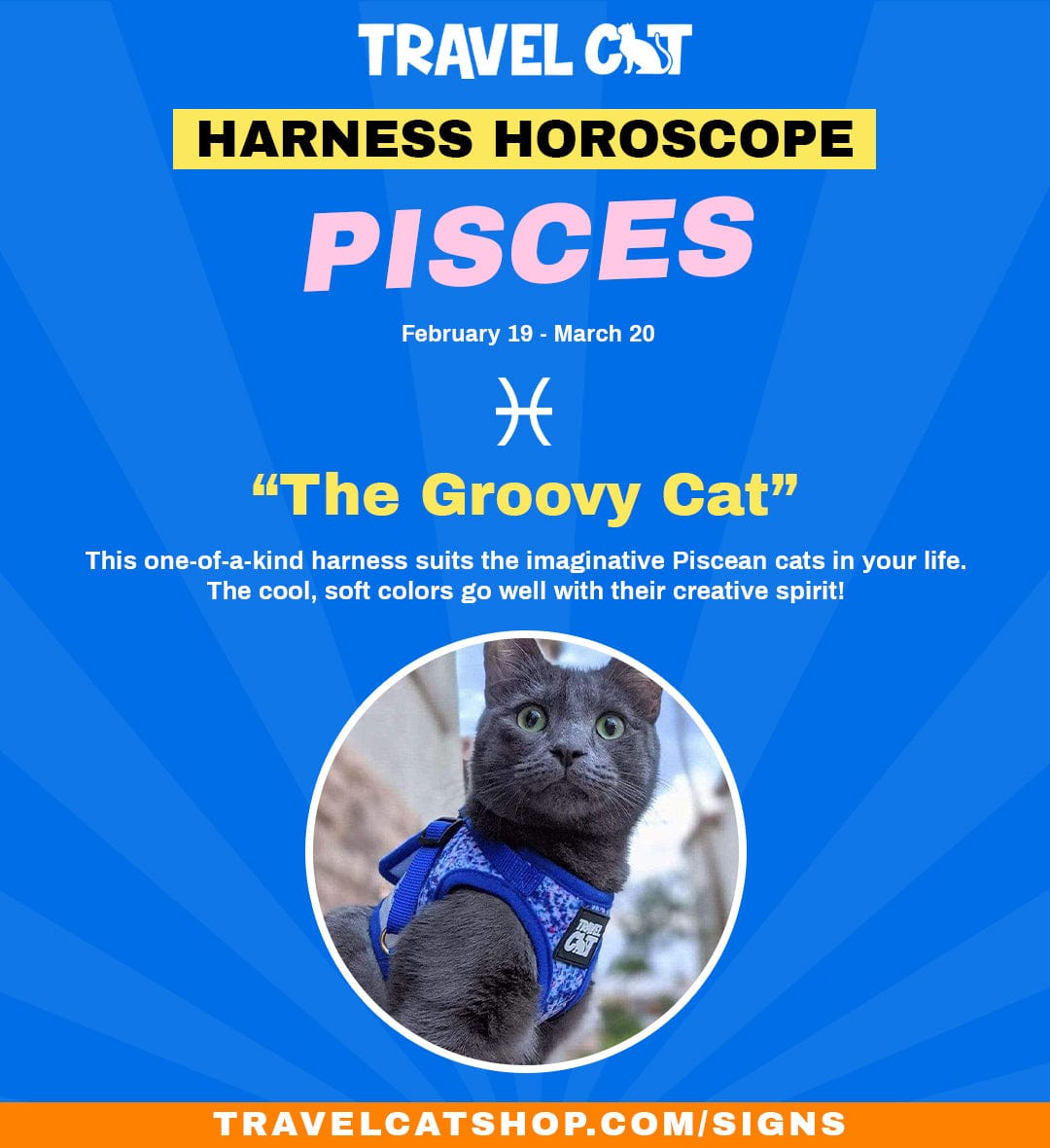 Can you change pisces cat personality？ Some tips for you!