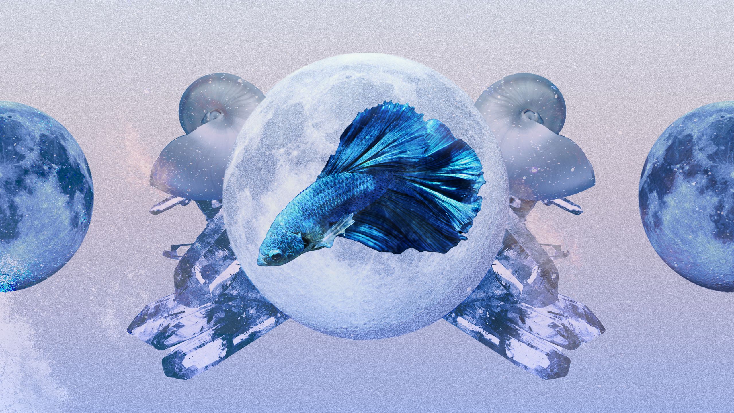 Read Your monthly pisces horoscope 2024： Dont Miss Out On These Key Dates!