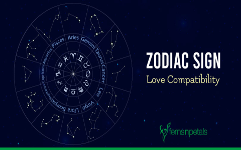 Pisces and Gemini love match - How compatible are they really？