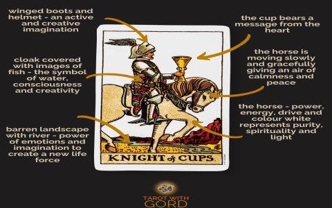 What do the knight of pentacles intentions mean in career？ Find out!
