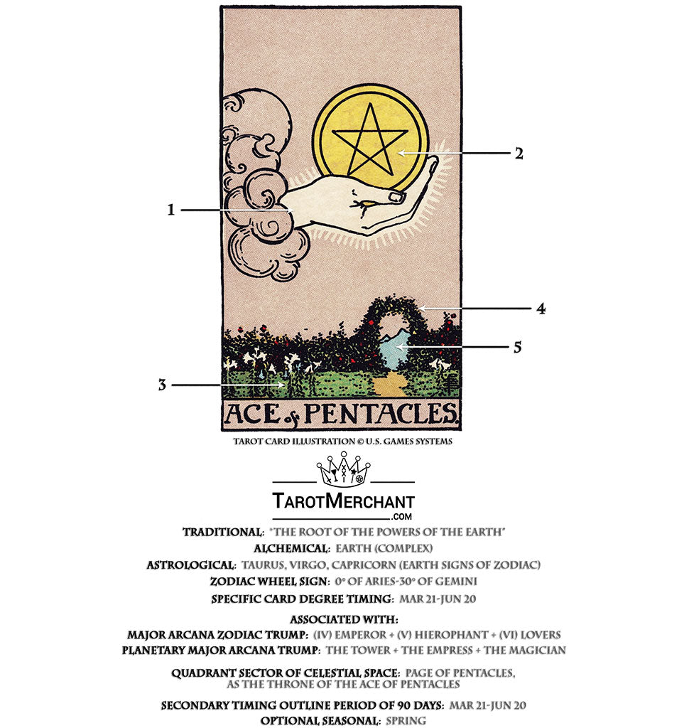 Ace of pentacles time frame explained. What you need to know!