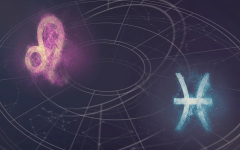 Is an Aquarius and a Pisces relationship compatible？ Insights from studies!