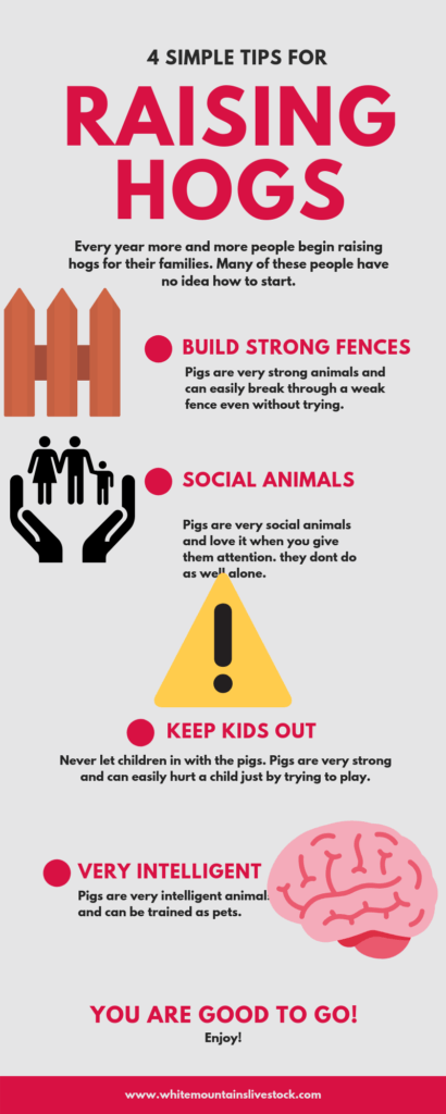 What are the benefits of raising pigs and fishes？ Here are the answers!