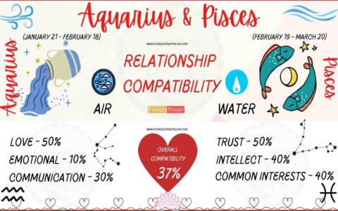 Aquarius vs Pisces relationship： What factors affect their compatibility？