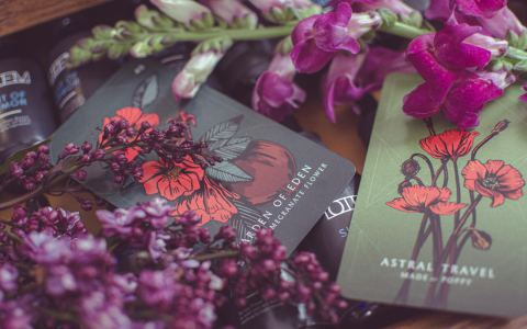 Where to buy flower oracle deck？ Top 3 places revealed