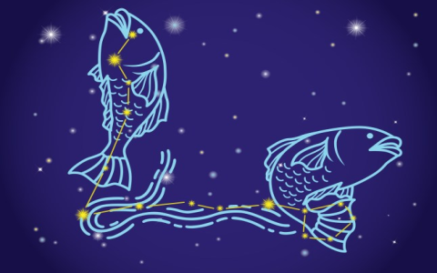 The best career for pisces zodiac sign： 7 fulfilling jobs revealed now!