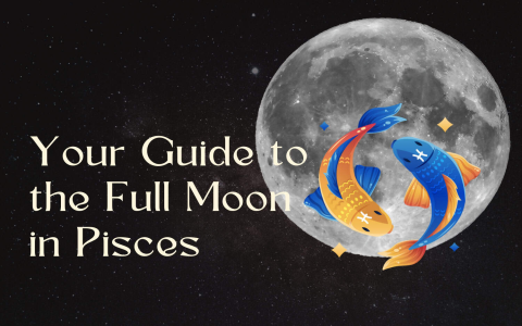 Best Way to Use the Pisces New Moon Horoscope Energy？ Manifest Your Goals Now!