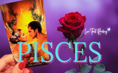 How accurate is the cancer & pisces daily love horoscope？ Find out here!