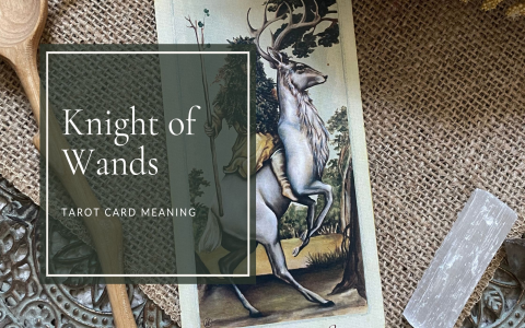 Page of Wands as action： How to make it work for you