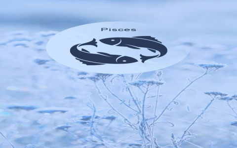 Are Pisces weekly and monthly horoscope for December 2024 accurate？