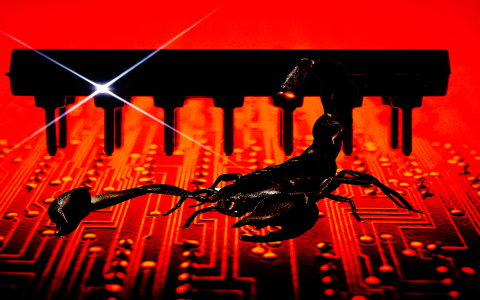 Your scorpio and pisces horoscope today is here! See what your future holds.