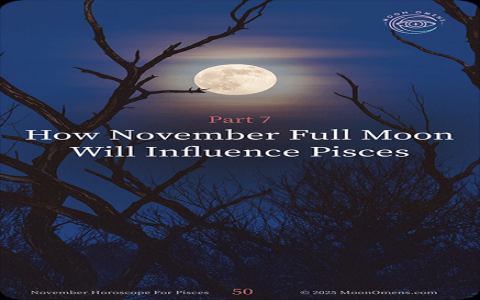 Pisces November 2025 horoscope - How to make the most of it？