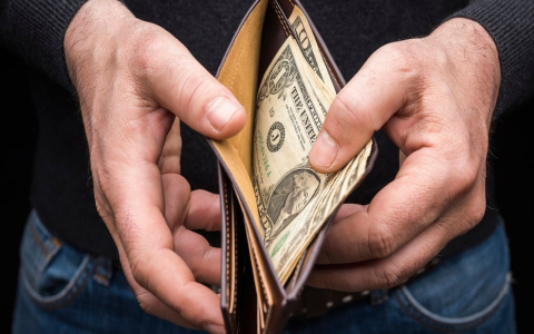 Where to invest pisces daily money？ Some good investment ideas