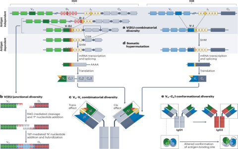 I Ching 36 in modern life： How can it benefit you？ Find out!