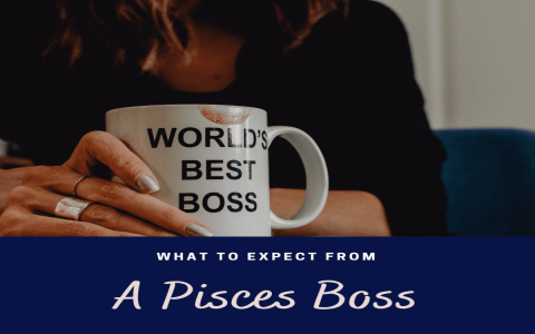How to manage pisces career in march？ 5 tips for success!