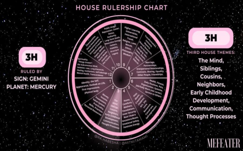 10th house in pisces career