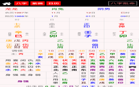 bazi four pillars chart example image