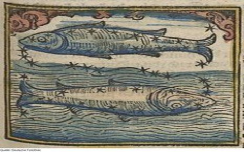 Does Pisces cheat in relationship？ Unpacking the water signs hidden motives for infidelity!