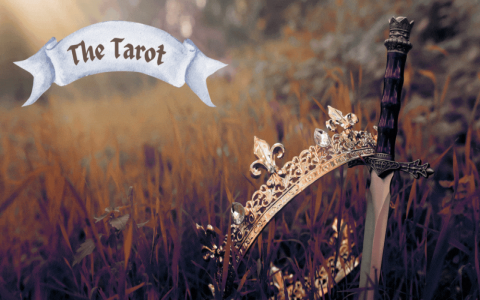 How to implement knight of wands as action in daily life？ Tips here!