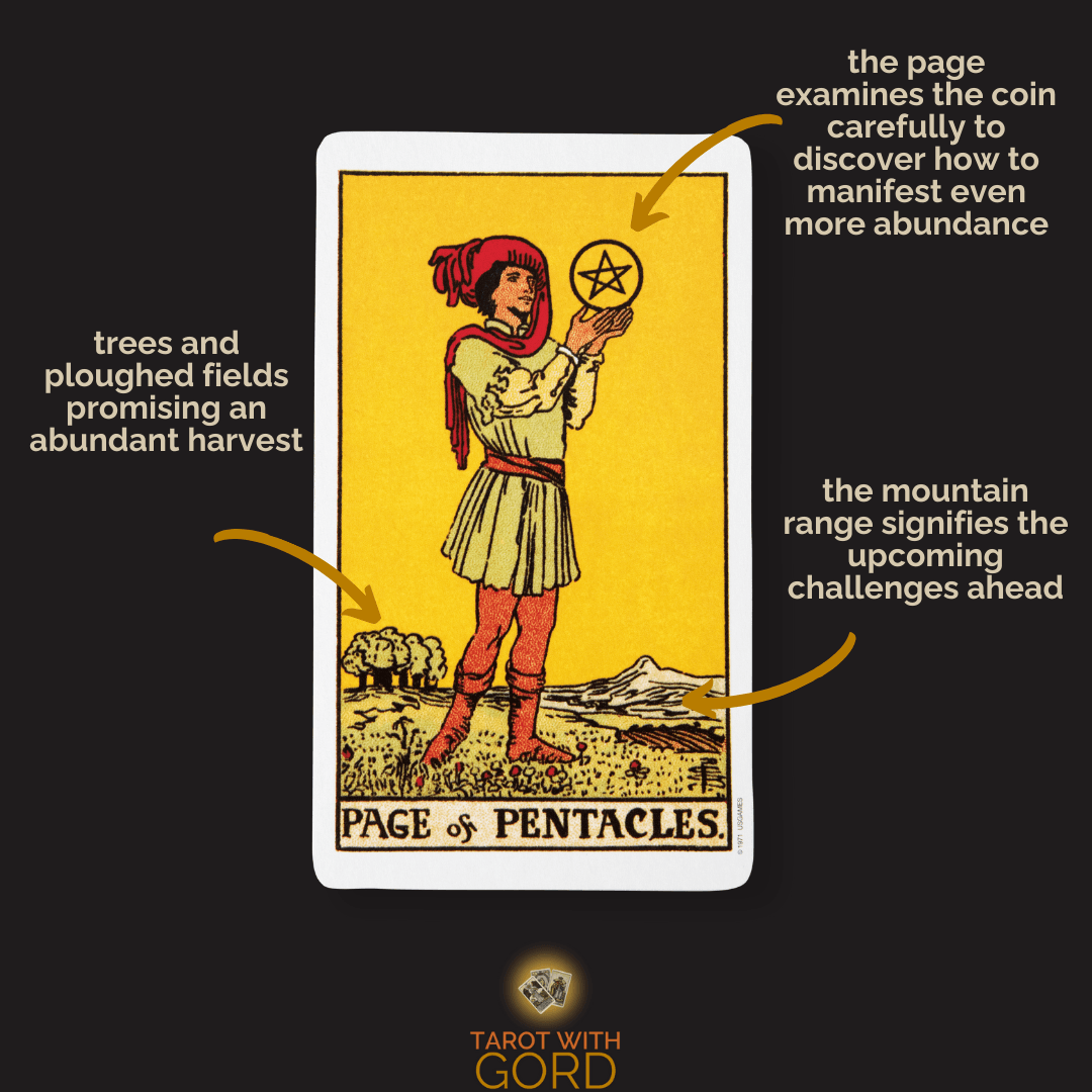 What specific Page of Pentacles advice do you need？ Look for stable opportunities now!