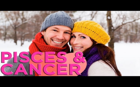 Are Pisces compatible with each other in love？ Know the compatibility level!