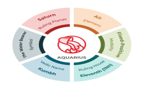Are Pisces and Aquarius suitable to be friends？ Check these points!