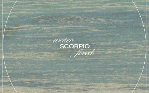 November Pisces career horoscope： How to seize opportunities in career？