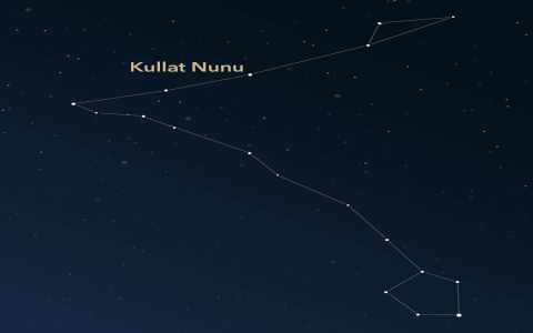 What month of Pisces starts？ Discover the right month easily