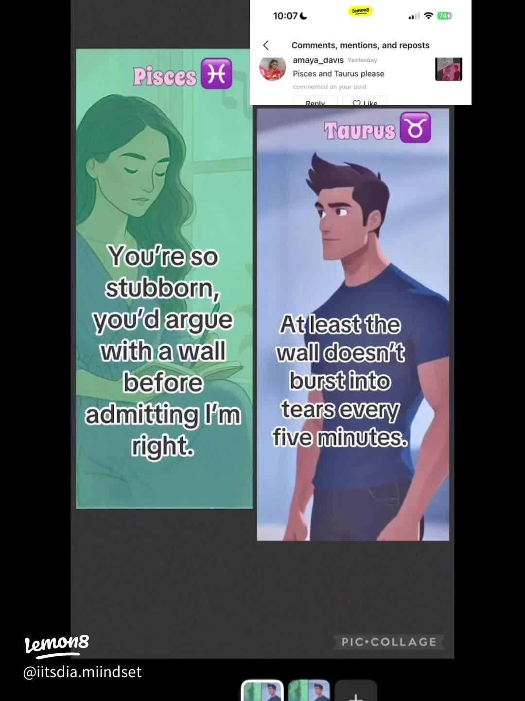 Midheaven pisces career: How to improve skills and competitiveness?