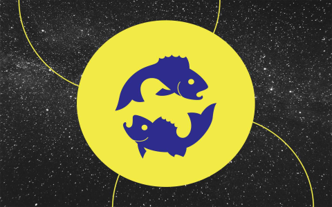 How about 2019 pisces career horoscope？ 3 tips to boost your career!