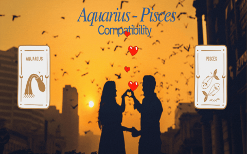 Aquarius and Pisces marriage compatibility percentage： How well do they match？