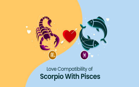 pisces love match sign