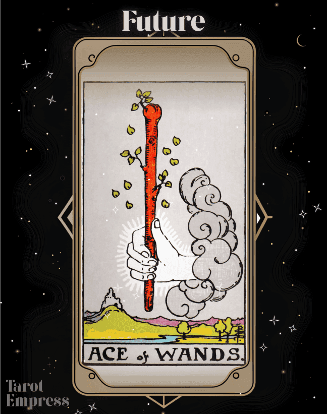 Can ace wands love tarot predict your love future？ Find out!