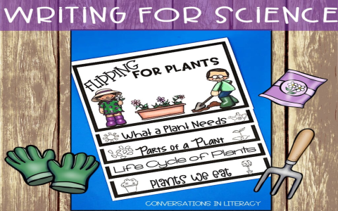 Predicting the Queen of Cups future Here are the clues!