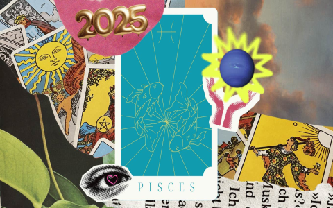 Pisces horoscope for 2025 career What to expect this year？