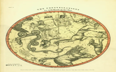 Want to know career trends？ Check out Pisces Elle monthly horoscope!