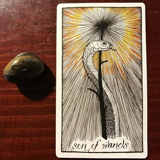 What does son of wands meaning imply？ Insights from experts