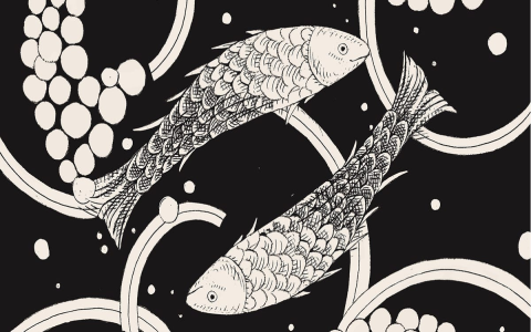 Can pisces horoscope monthly 2024 change your luck？ Find out now!