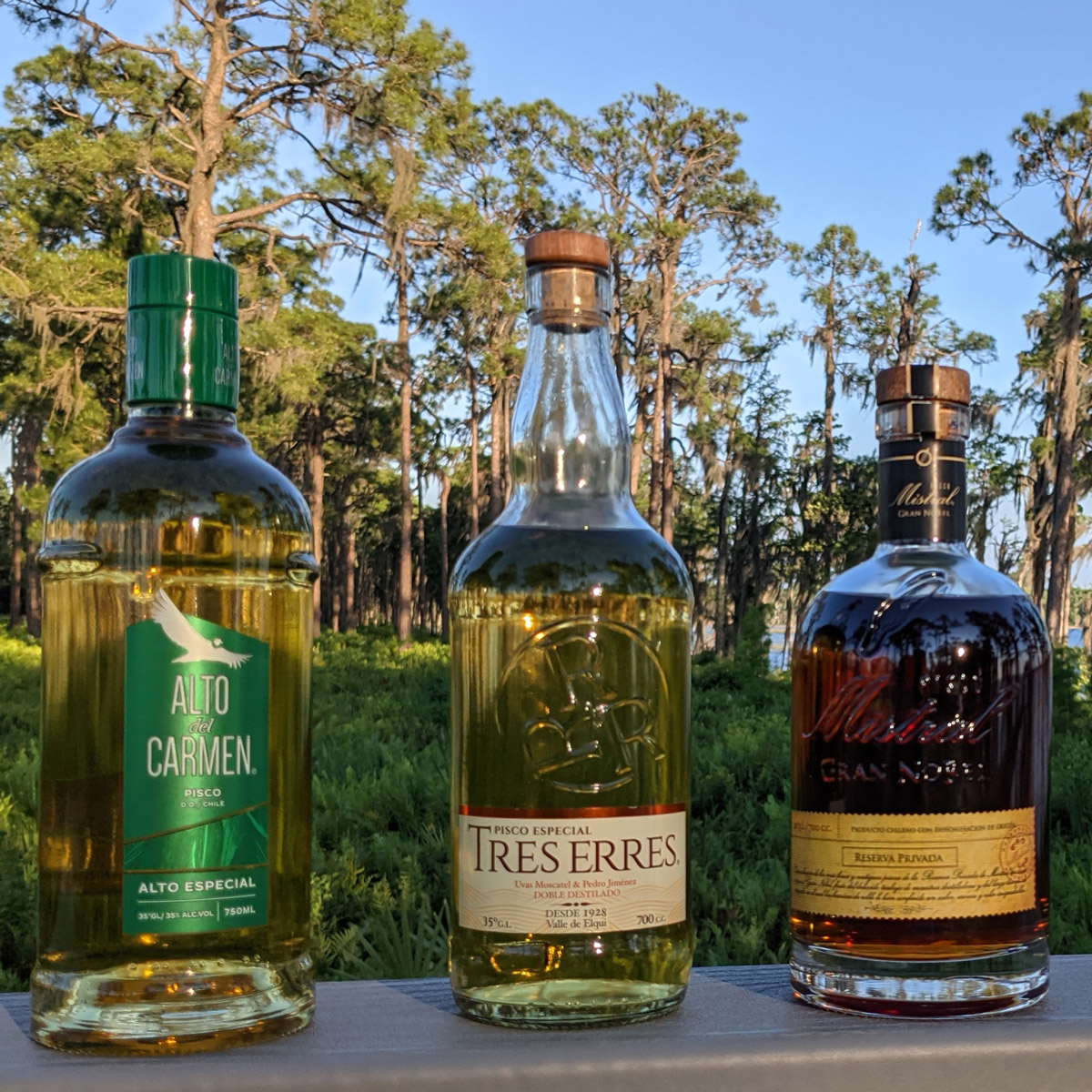 Where to buy the pisco mas caro de chile？ Tips from insiders!