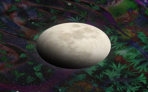 When is the moon in Pisces every month？ Get the info!