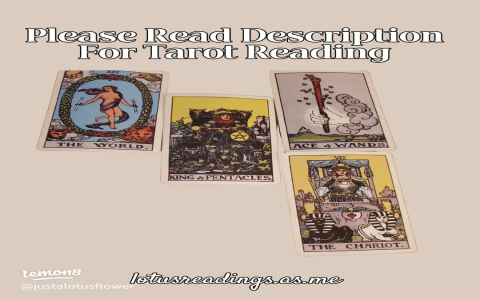 What does ace of wands as intentions mean？ A beginners guide!