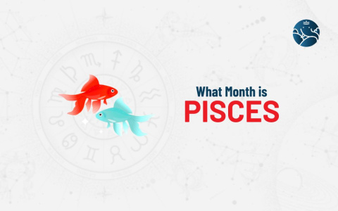 Pisces Horoscope for the Month of February： Big Opportunities for Your Career!